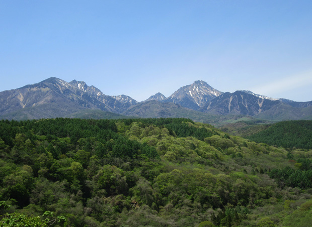 RYOWA